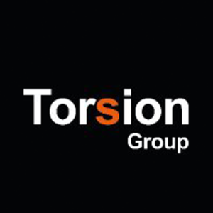 1 - Torsion Group Logo