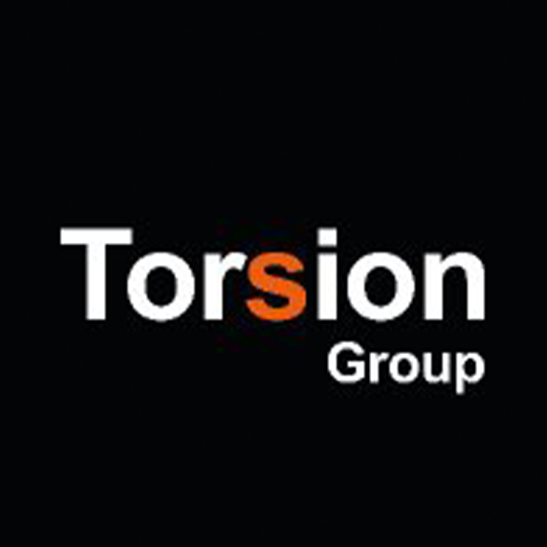 1 - Torsion Group Logo